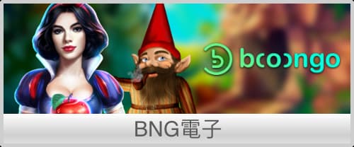 BNG電子